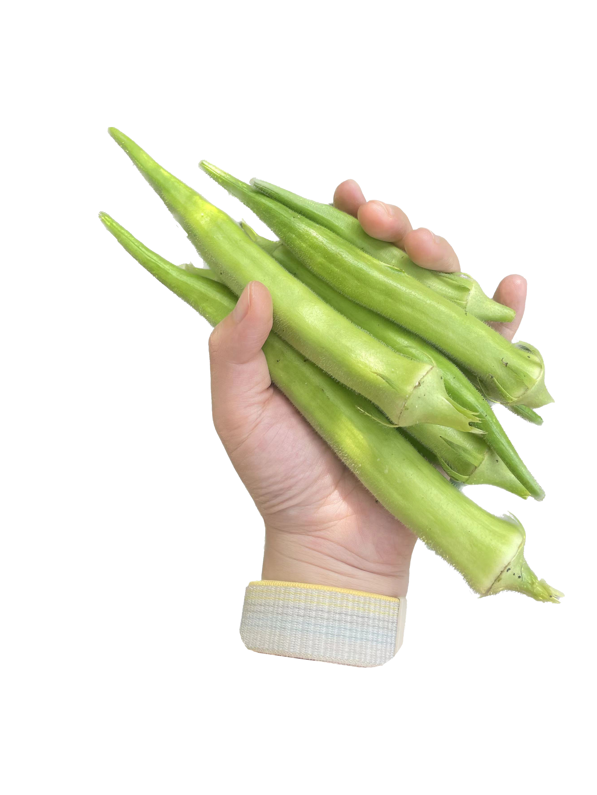 okra_img